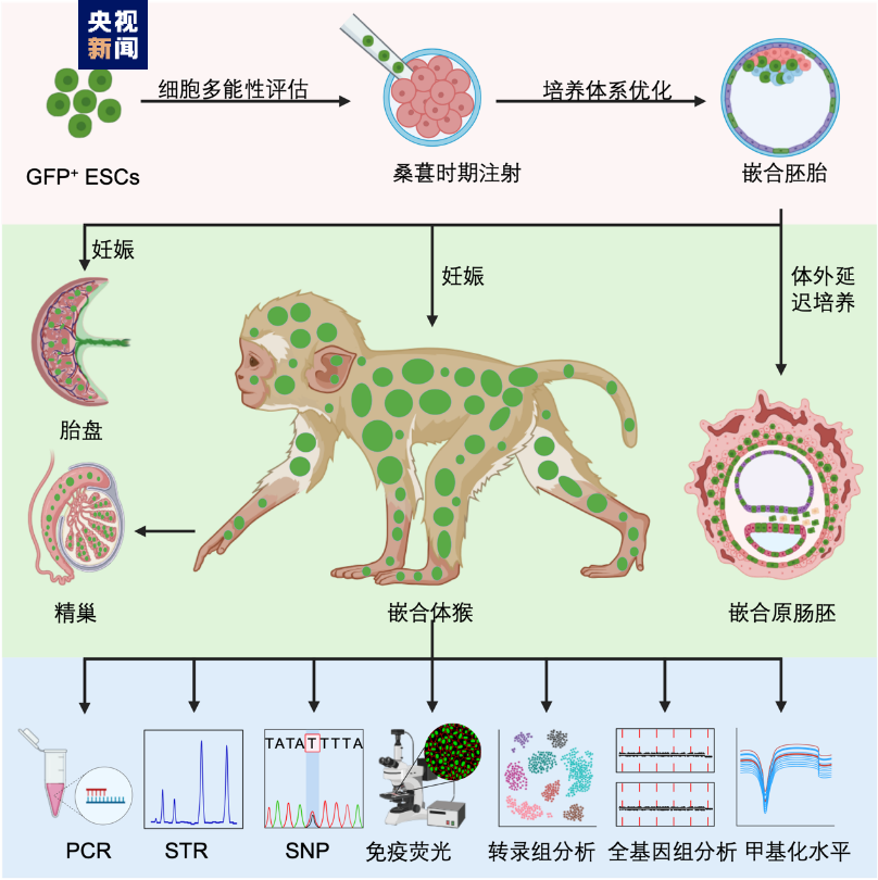 2024軍隊(duì)文職筆試備考丨每日時(shí)政（2023.11.11）